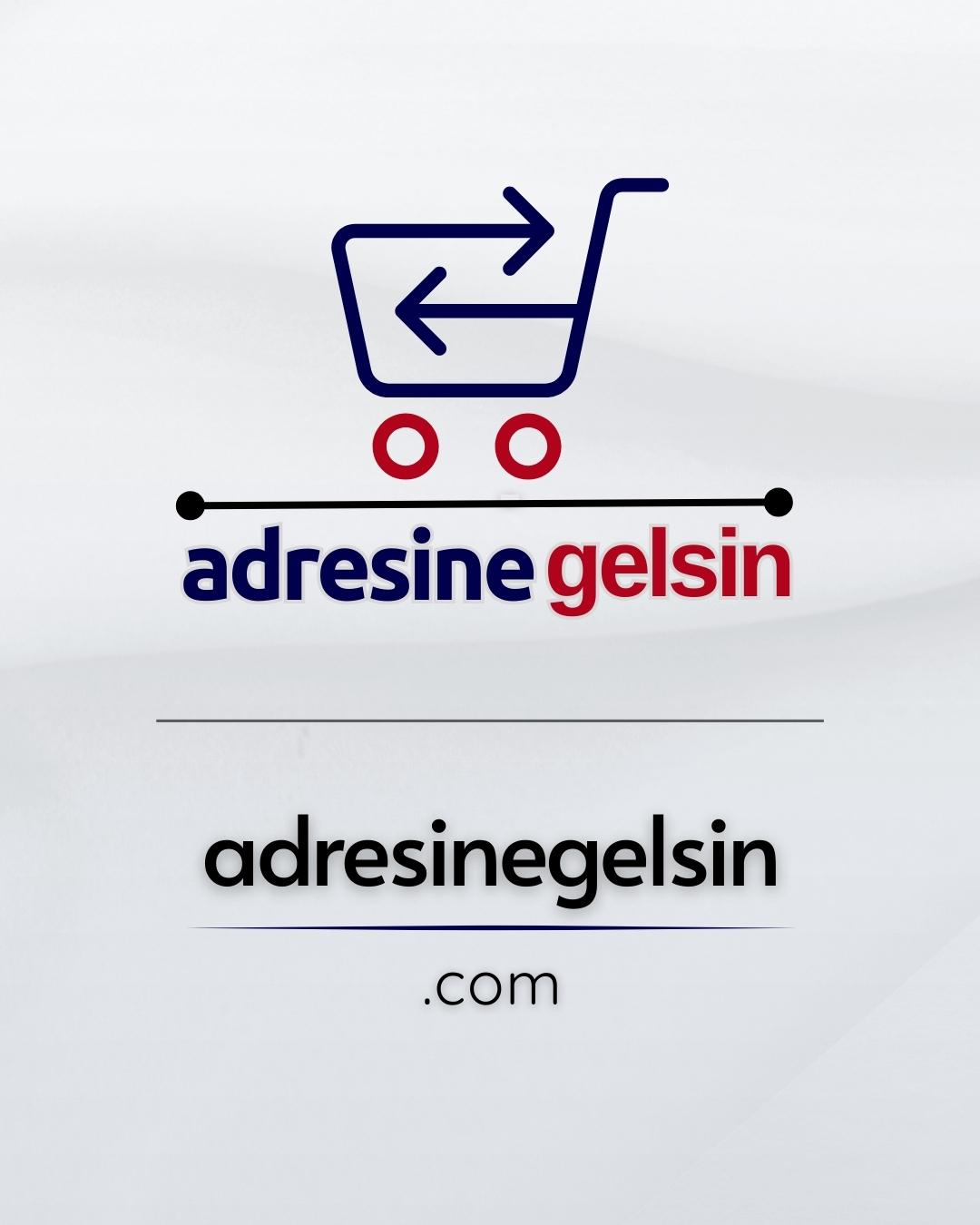 Adresine Gelsin | Selami.com