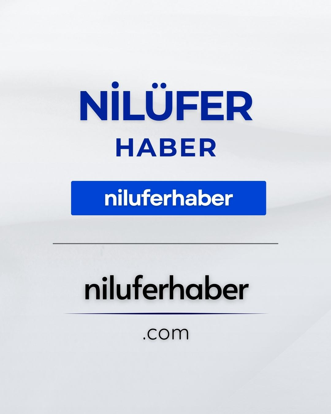 Nilüfer Haber | Selami.com